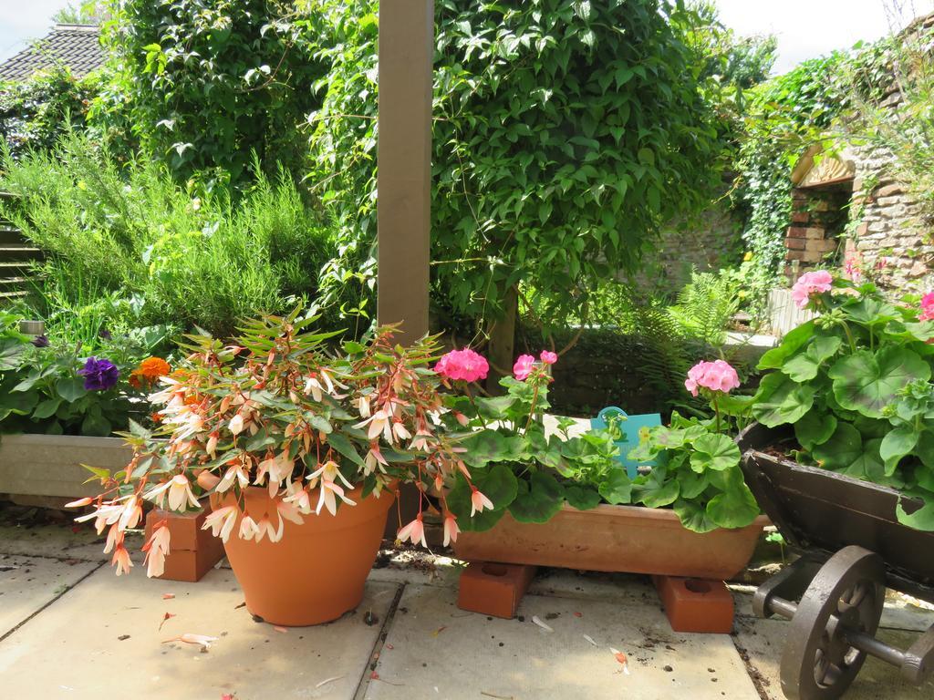 Little Orchard Apartment Yate Luaran gambar